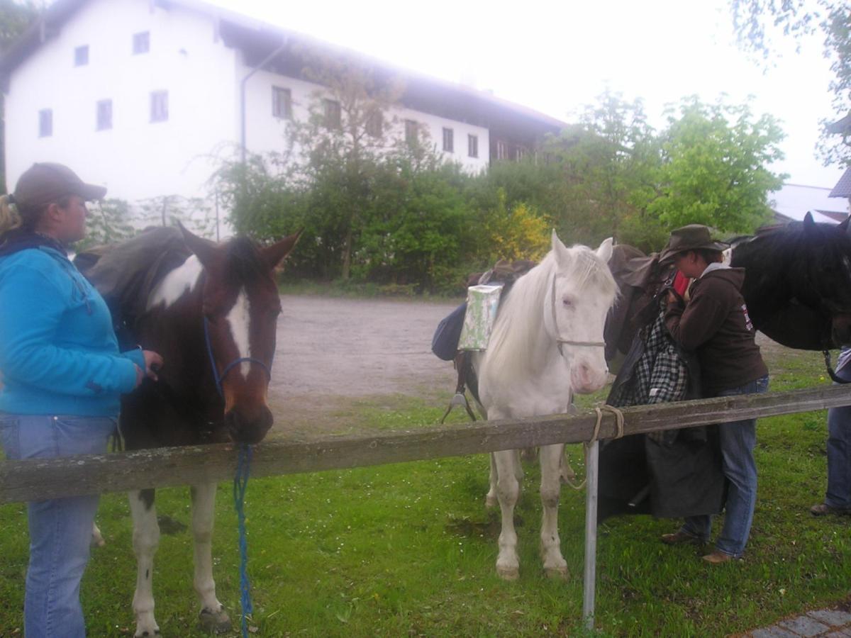 Gasthaus Zum Spaeth Englmannsberg Esterno foto